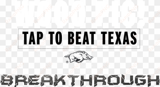 0 replies 0 retweets 0 likes - game day outfitters ncaa arkansas razorbacks window