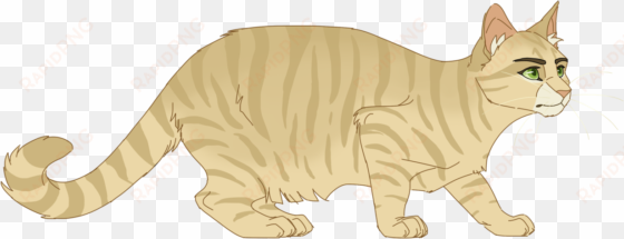 100 warrior cats challenge - sandstorm warrior cats design