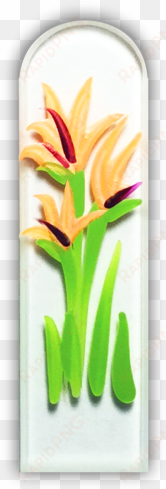 102500 bird of paradise - bird-of-paradise
