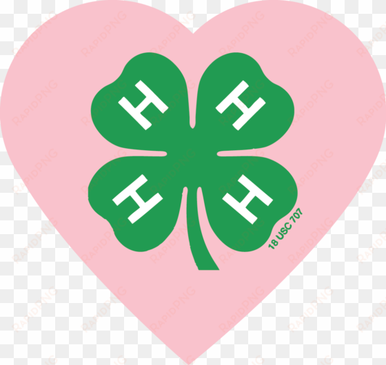 14 feb - 4 h clover