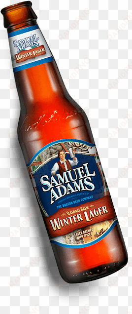 1989 winter lager hops hops - sam adams beer bottle