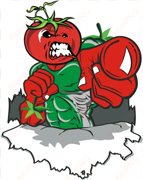 2018 tomato town tumble novice tournament - novice tournament