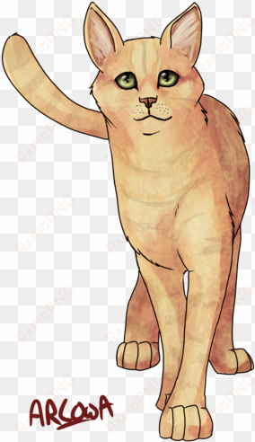33 images about warrior cats <3 on we heart it - spottedleaf vs sandstorm
