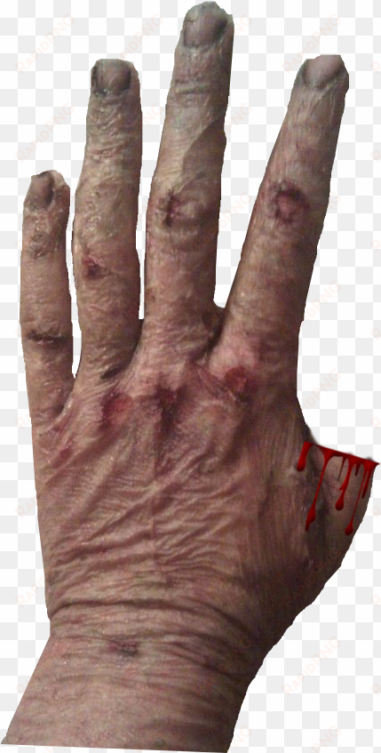 4 scars - sign language
