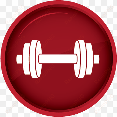 a horse's body tends to add new muscle cells at its - black and white dumbell
