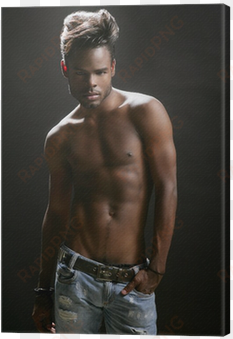 african american nude torso black sexy man canvas print - visible lives: three stories in tribute to e. lynn