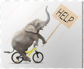 african elephant on a bike holding protest sign - eutuxia monitor stand - [metal] [tempered glass] slim