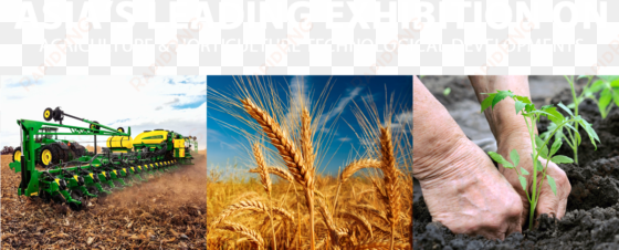 agri & horti asia - ultimate guide to old-fashioned country skills