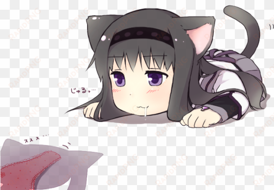akemi homura and kyubey drawn by only norisu - undercover kitty