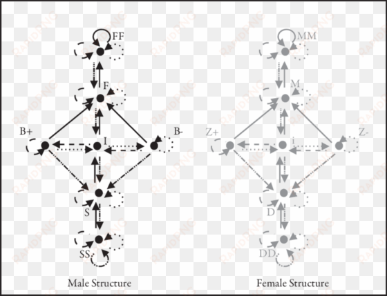 algebra of male elements and algebra of female elements - diagram