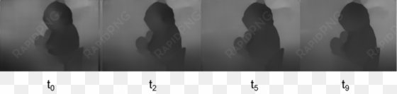 an example of the small-baseline refinement using lstm - photograph