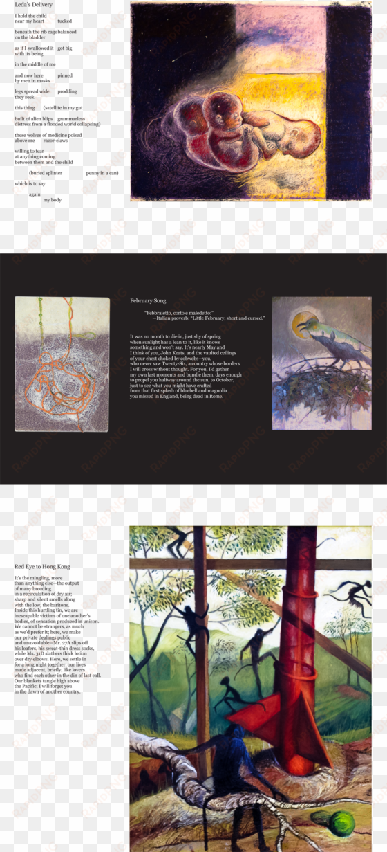 andoga simmons - laughing kookaburra