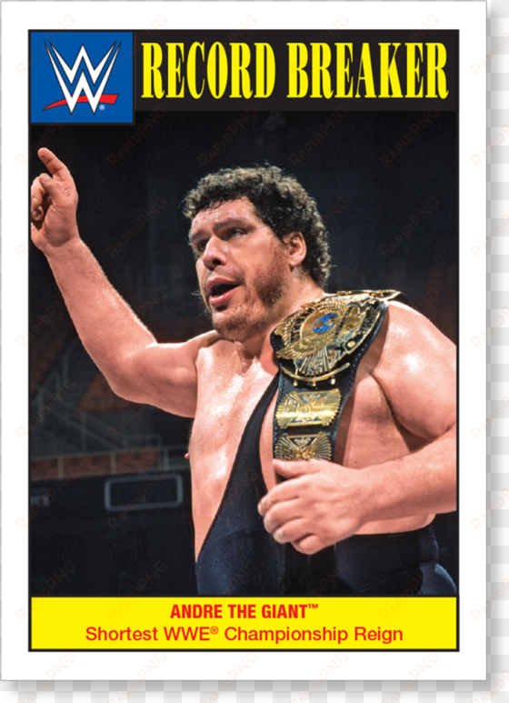 andré the giant