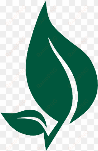 anuja ayurveda dhule leaf logo - ayurveda leaf clipart