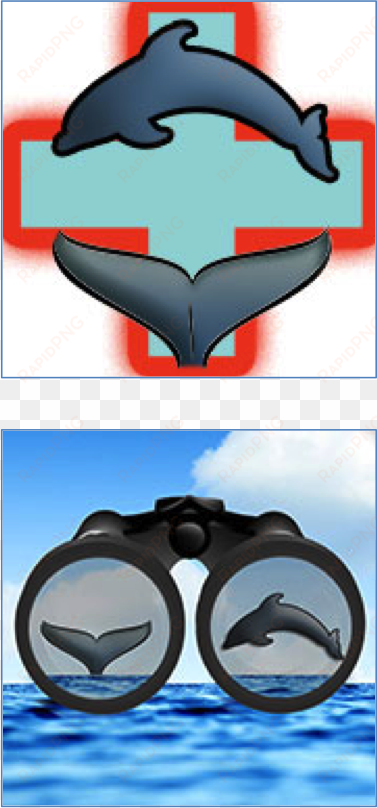 app icons for the noaa apps - dolphin and whale 911 app