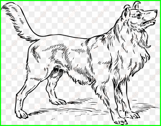 appealing big dog coloring sheet pics for pages trends - realistic dogs to color