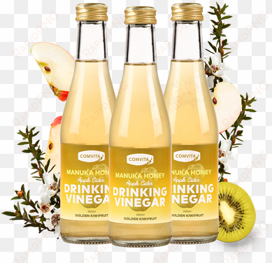 apple cider drinking vinegar - glass bottle
