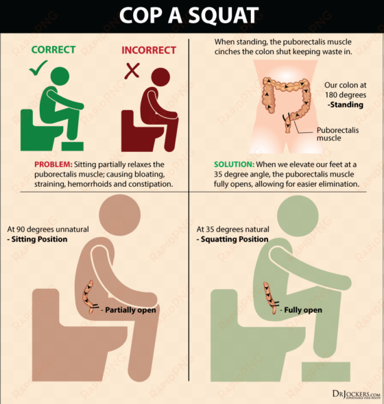 are you nourishing your body with a healthy intake - best poop position for constipation