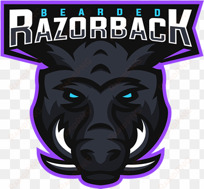 arkansas razorbacks football