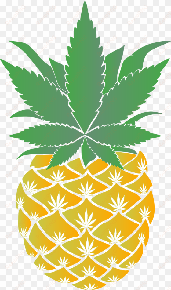 as an aloha to anyone who stops by you can add fresh - bomba dischi