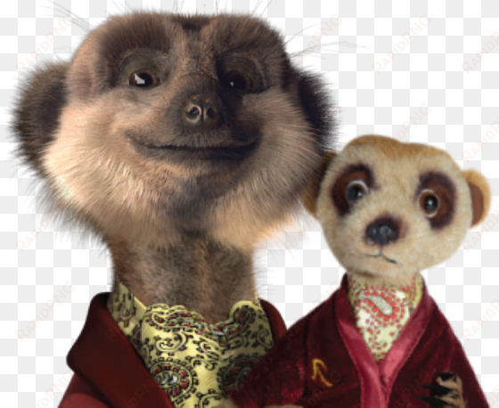 au rewards aussie households with meerkat giveaway - comparethemarket