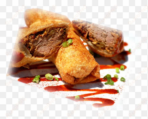 backyard bistro eggroll fuzzyrotated - börek