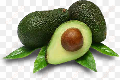 banana bunch - avocado hd