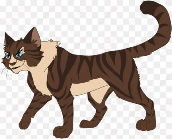 battle cat - warrior cat hawkfrost