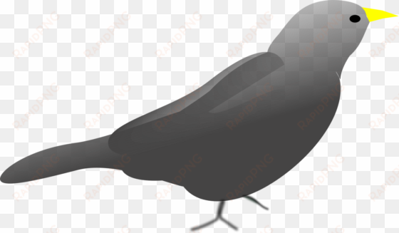 beak bird computer home network call of duty - clip art