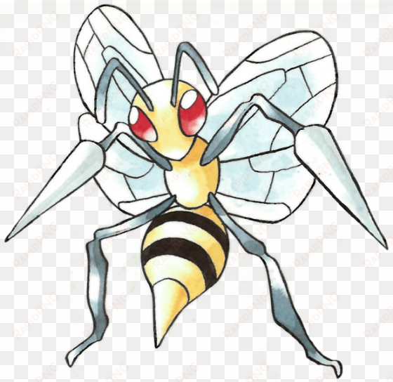 beedrill - pokemon x & y evolutions rare beedrill #7