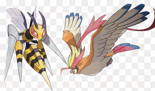 beedrill was always that cool pokemon that - pidgey last evolution