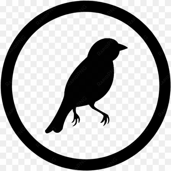 bird, icon - icon black and white