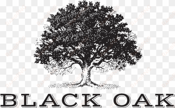 black on transparent png download - black oak wine logo