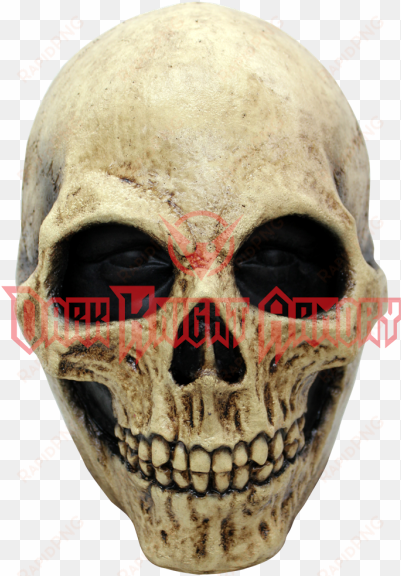 bone skull mask - abdel k