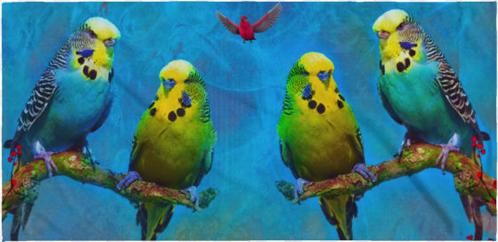 budgie beach towel