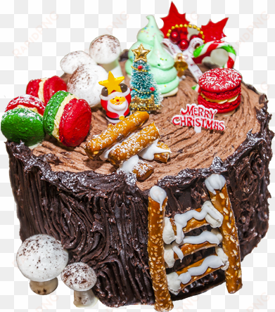 bush de noel - cake