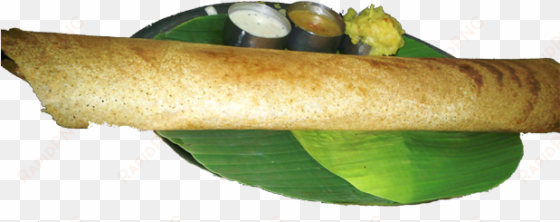 butter paper masala dosa - paper masala dosa png
