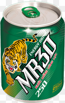 buy energy drink,mix fruit flavor drink,mr 30 energy - mr30