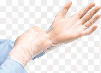 cardinal health instagard vinyl exam gloves - cardinal health instagard vinyl exam gloves, small,