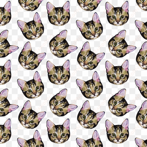 cat tumblr background - backgrounds cats