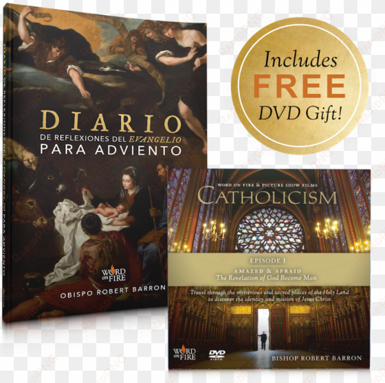 catholicism: a journey to the heart