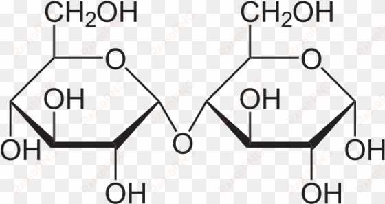 cellobiose, or maltose chemical structure - molecular level of starch