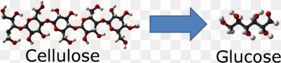 cellulose to glucose 750 - conversion of glucose to cellulose