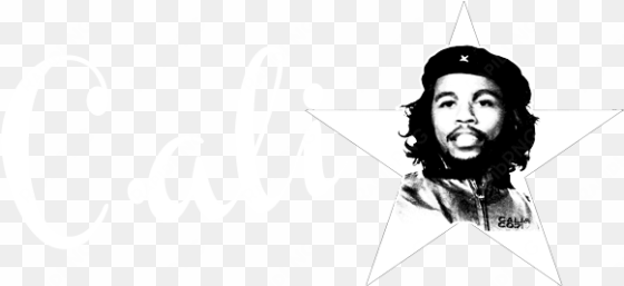 chaka ali chapuis artist - ernesto che guevara