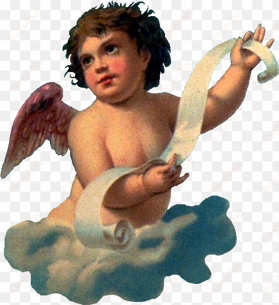cherub 20b ldm - fotki