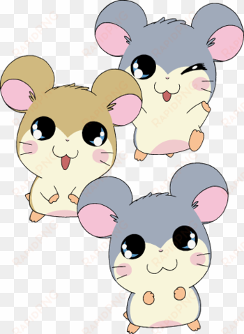chibi hamtaro