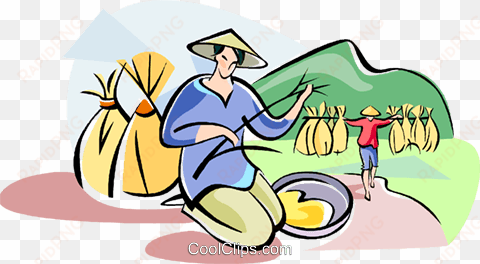 chinese farmer planting rice royalty free vector clip - chinese farmer transparent png