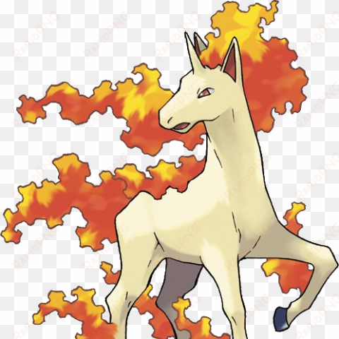 click to edit - pokemon rapidash