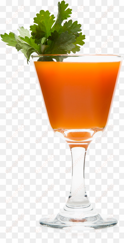 combining smooth diplomatico mantuano rum and zingy - diplomatico mantuano cocktails