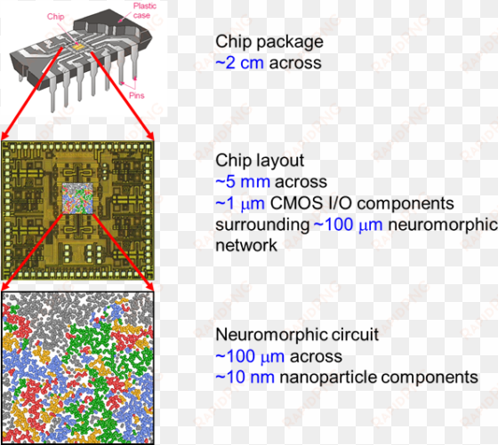computer chip brain cmos circuit - university of canterbury
